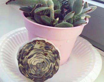 Sapone artigianale alla lavanda: aromaterapia rilassante