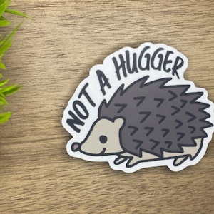 Not a hugger, introvert sticker, mental health awareness, antisocial funny, sarcastic sticker, don&#39;t hug me, don&#39;t touch me, porcupine cute