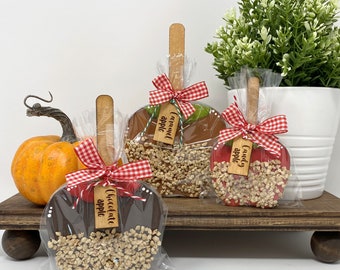 CW Gfts Wooden Candy Corn Shelf Stters 3/Set, Mult