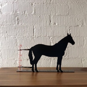 Horse Rain Gauge