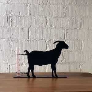Goat Rain Gauge