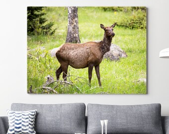 Rocky Mountain Elk - Wildlife Photography - Rustic Home Decor Photo Print