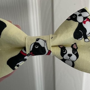 Collar Bow