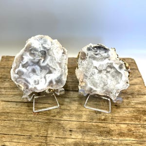 5.35 oz Mexican Trancas Geode Pair