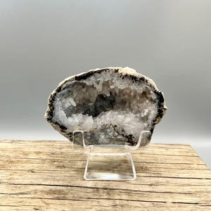 Polished Mexican Trancas Geode