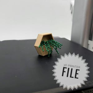 May include: A 3D printed hexagonal wall planter with a green plant hanging out of it. The planter is beige and the plant is green. The image has the text "3D PRINTER FILE" on it.