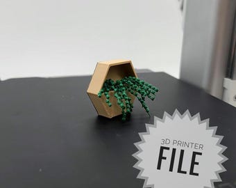 1:24 Scale String of Pearls Plant in Hexagon Wall Planter 3D Printable File