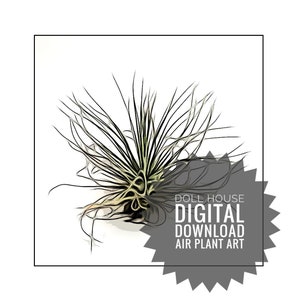 Modern Doll House Wall Art - Air Plant Image with Frame 1:12 Scale 1/12