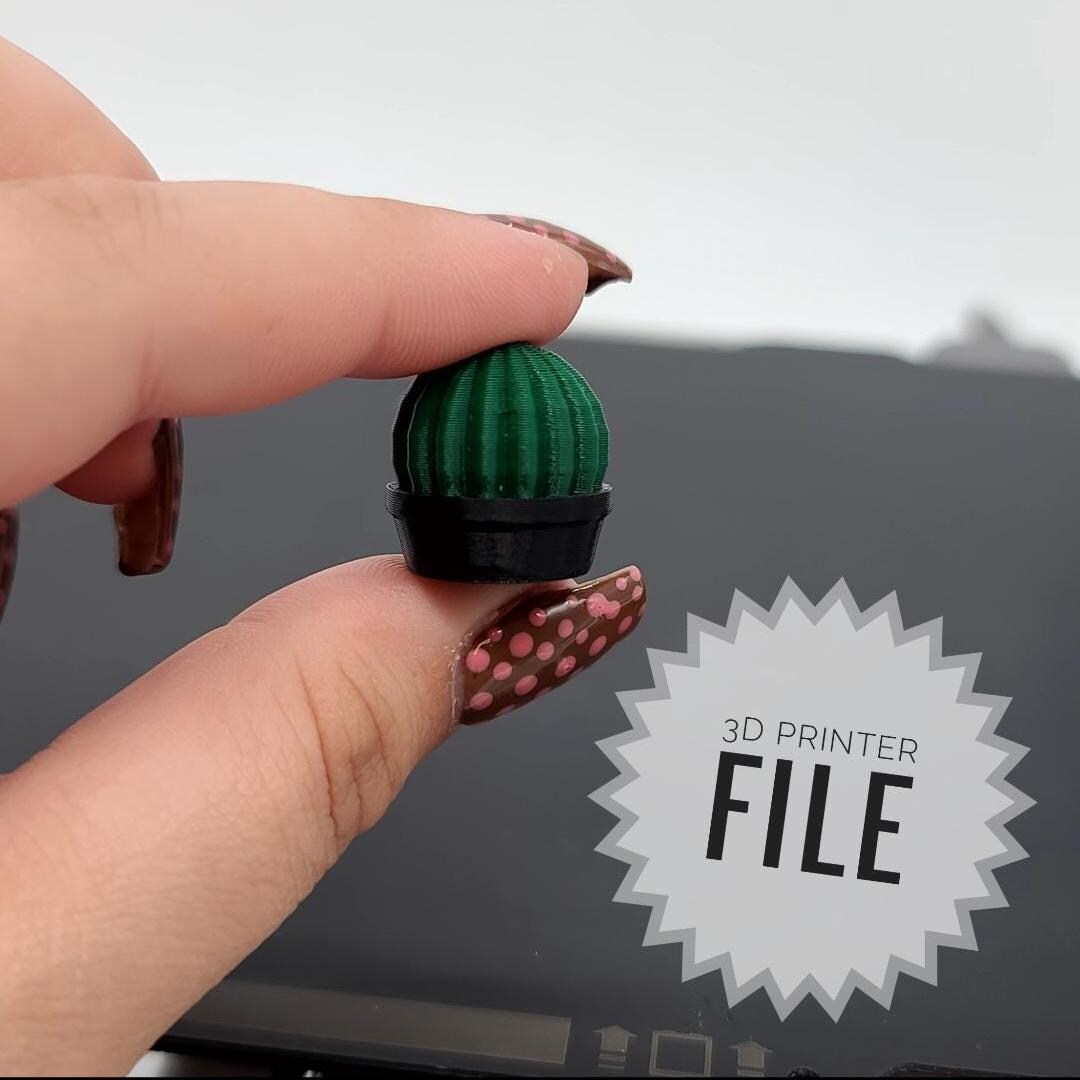 1:24 Mastab Kaktus Pflanze im Pflanzgef 3D druckbare Datei - Etsy.de