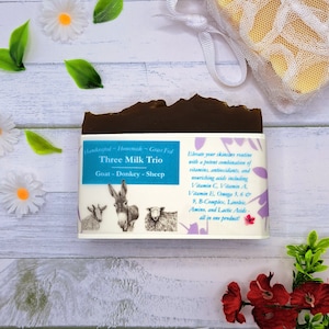 Activated Charcoal Three Milk Trio Soap Donkey Goat Sheep - for eczema, dry skin, sensitive skin, acne, psoriasis, oily skin or for face.