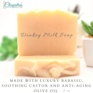 Natural Donkey Milk Soap with Lace Bag - Handmade Raw Milk Hand or Body Bar - Gentle - Clean Green Ingredients - 5 oz - Unscented Made USA