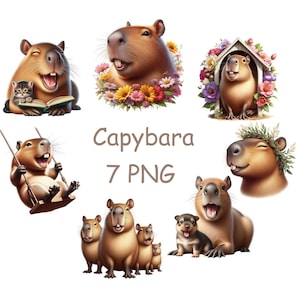 Capybara PNG, Cute animal clipart with transparent background, Capybara clipart
