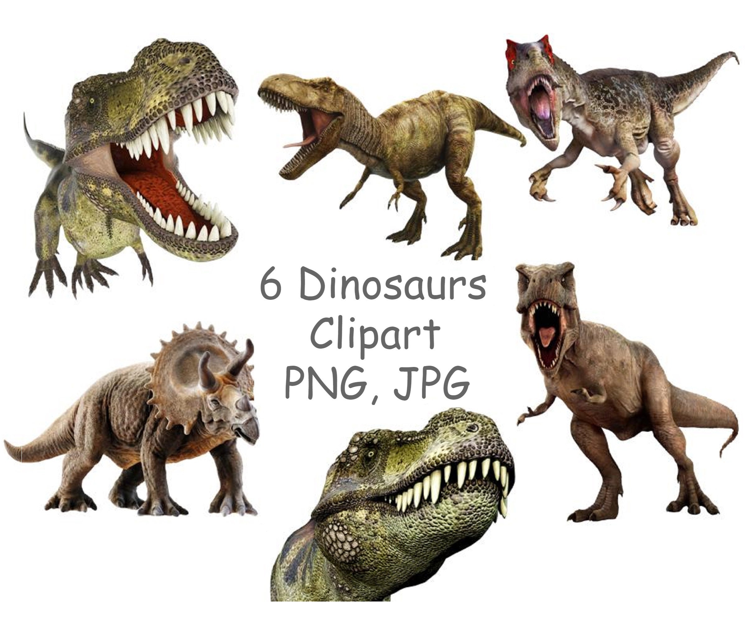 Dinosaurio PNG Imágenes prediseñadas de dinosaurios con fondo - Etsy España Dinosaurio PNG Imágenes prediseñadas de dinosaurios con fondo - Etsy España