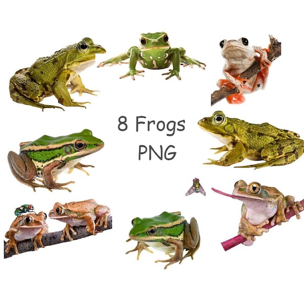 Frog clipart, Frog and toad PNG, Cute animal clipart with transparent background
