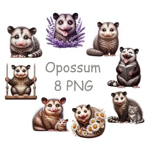 Image clipart opossum, clipart bébé opossum avec fond transparent