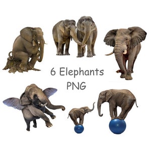 Elephant clip art, Cute animal clipart with transparent background, Elephant PNG