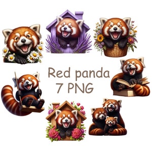 Imágenes prediseñadas de panda rojo, imágenes prediseñadas de animales lindos con fondo transparente