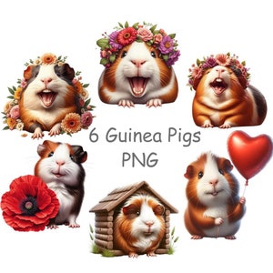 Guinea pigs clip art PNG, Funny guinea pigs bundle, Cute animals  with transparent background
