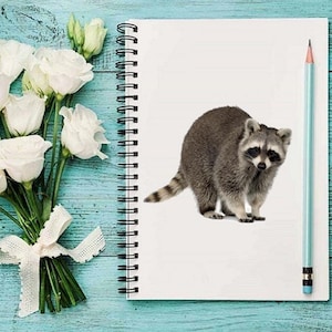 May include: A gray raccoon with a black mask is standing on a white page in a spiral bound notebook. The notebook is on a light blue wooden surface. A white pencil is leaning against the notebook.