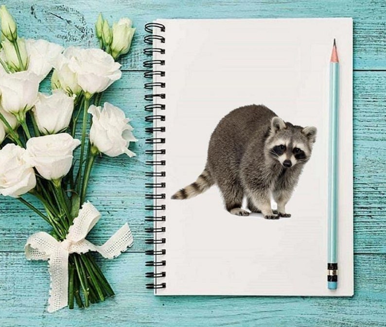 May include: A gray raccoon with a black mask is standing on a white page in a spiral bound notebook. The notebook is on a light blue wooden surface. A white pencil is leaning against the notebook.