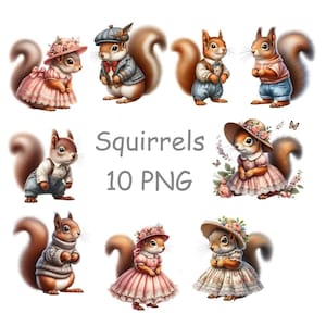 Squirrel clip art, Cute animal clipart, Woodland animal PNG with clear background