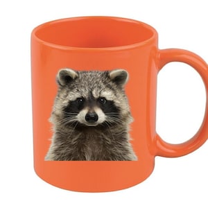 May include: Orange ceramic mug with a close-up image of a raccoon's face.