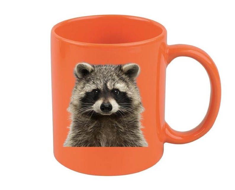 May include: Orange ceramic mug with a close-up image of a raccoon's face.