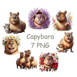 Capybara clipart, Cute animal clip art with transparent background, Capybara PNG