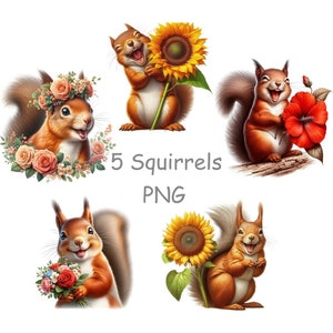 Squirrel clip art, Cute animal clipart with transparent background, Woodland animal PNG
