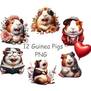 Guinea pigs clip art PNG with transparent background