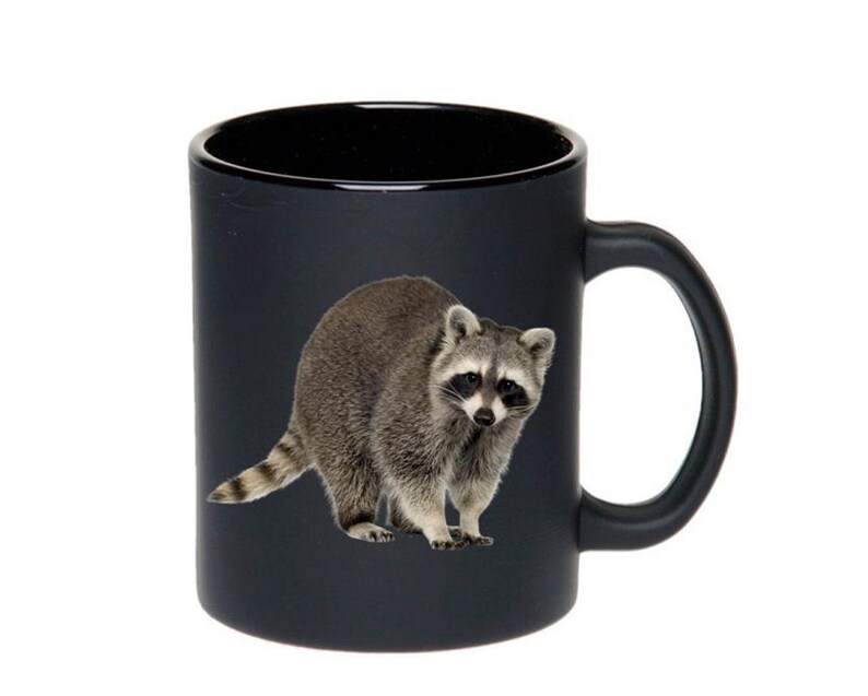 May include: A black ceramic coffee mug with a raccoon image printed on it. The raccoon is facing the camera and has a gray and black coat.