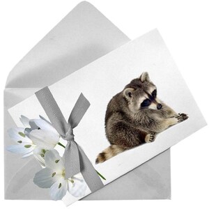 May include: A white card with a gray ribbon and a bouquet of white flowers. A raccoon is sitting on the card, looking to the left.