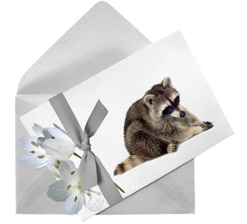 May include: A white card with a gray ribbon and a bouquet of white flowers. A raccoon is sitting on the card, looking to the left.
