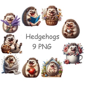 Hedgehog clip art, Cute animal clipart PNG with transparent background, Woodland animals PNG