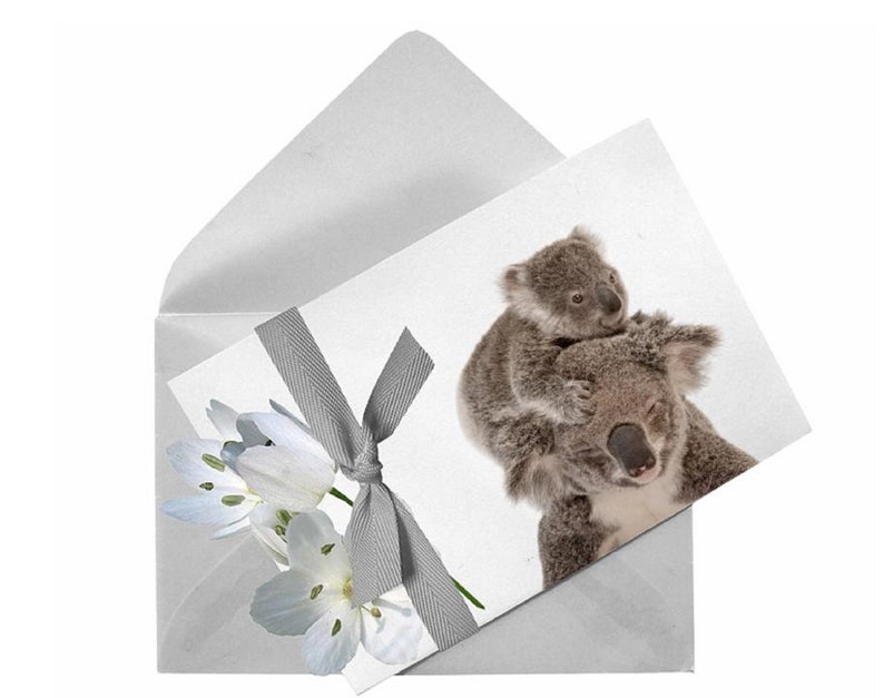 koala-png-cute-animal-clipart-printable-koalas-with-etsy-ireland
