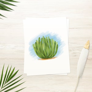 Cactus Card | Orgel Pijp | Afdrukbare kaart | Wenskaart | Lege kaart | Sonorawoestijn | Cactus | DIRECT DOWNLOADEN