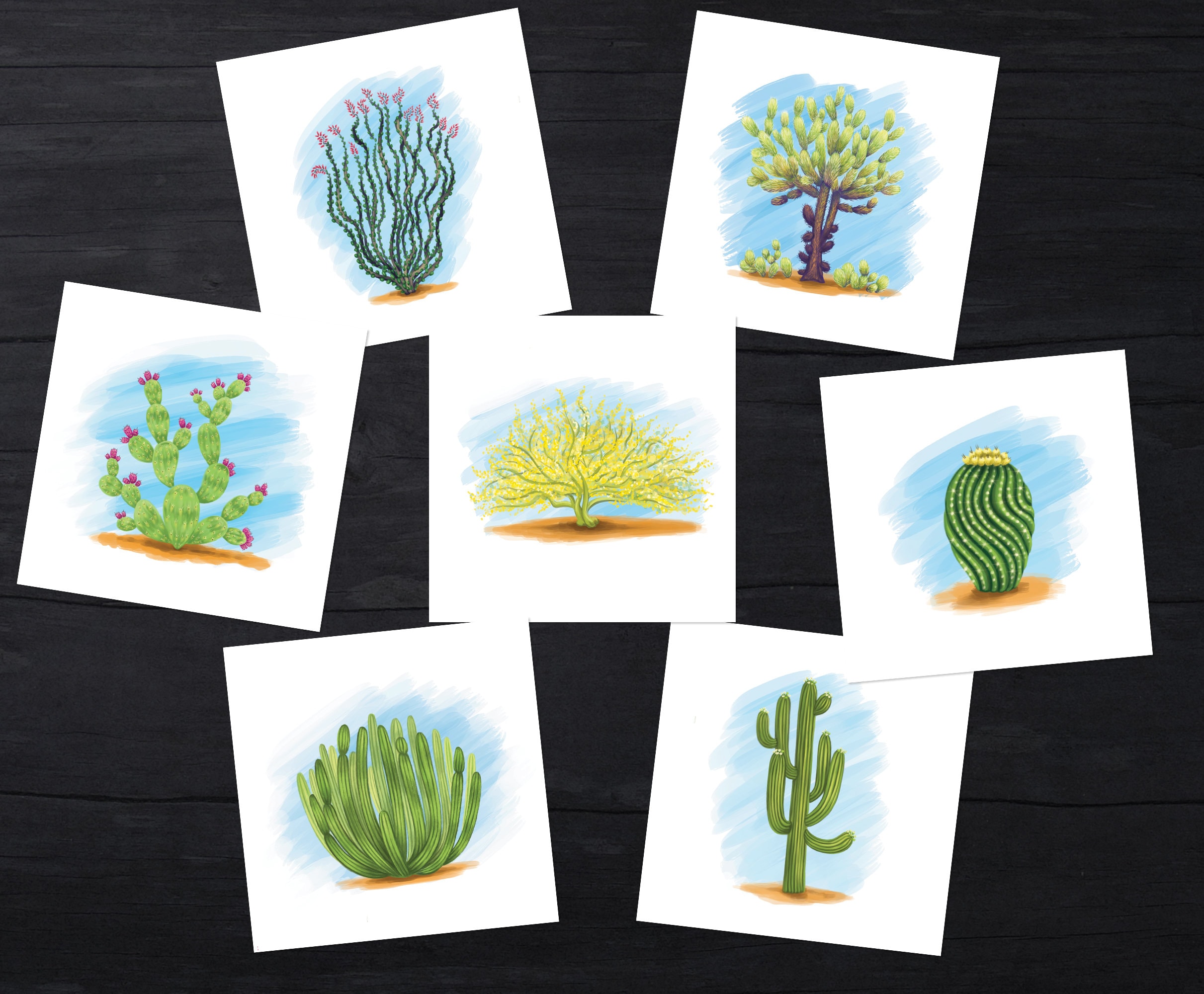 Cactus Card Palo Verde Printable Card Greeting Card Etsy