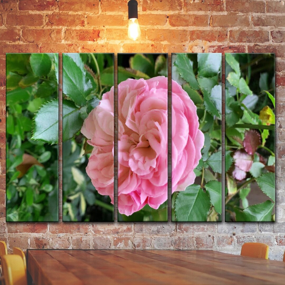 Pink Rose Morning Wall Art Decor Flower My Day Canvas Picture - Etsy