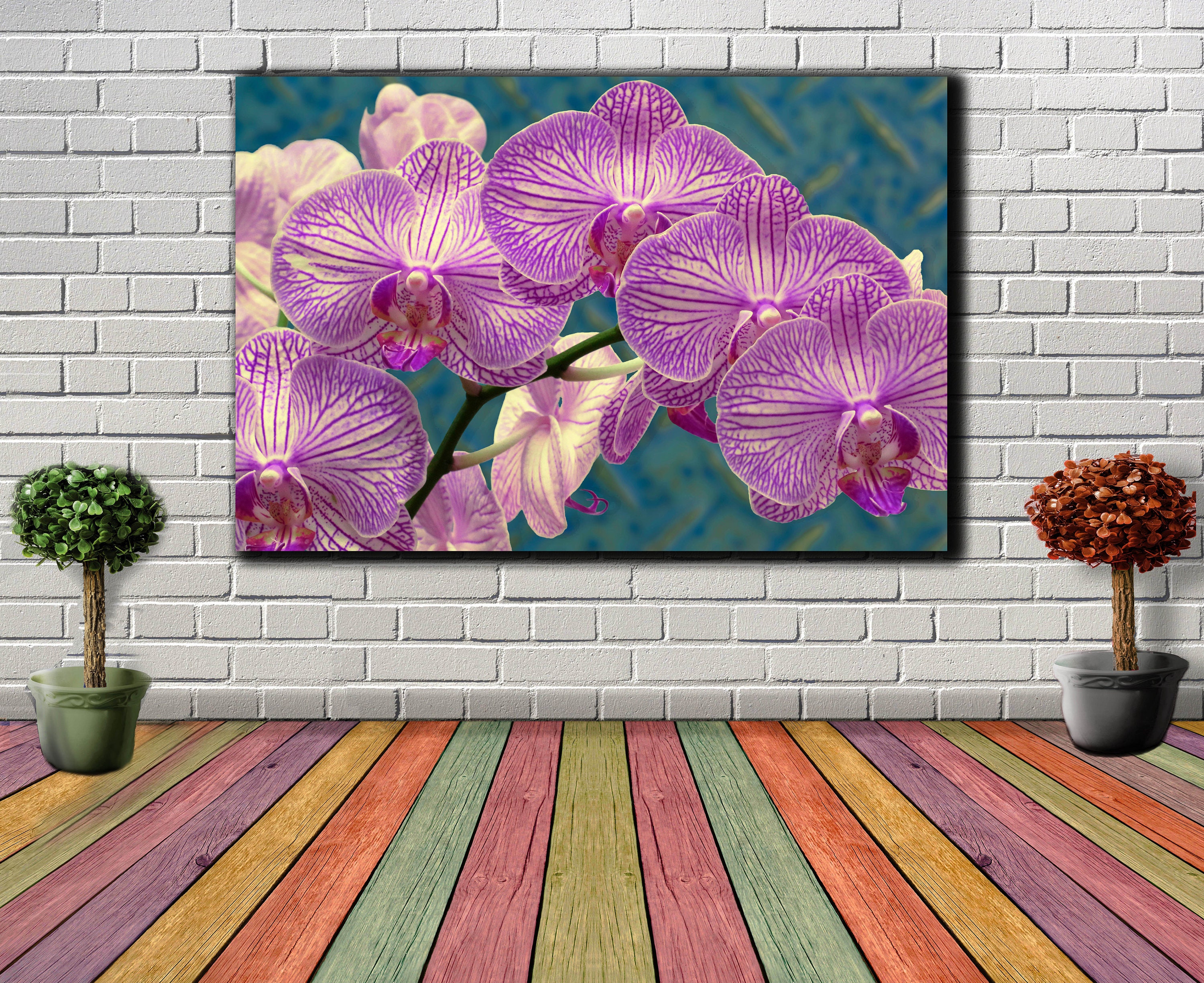 1 Piece Orchid Wall Art Decor Beautiful Orchid Canvas Picture Etsy