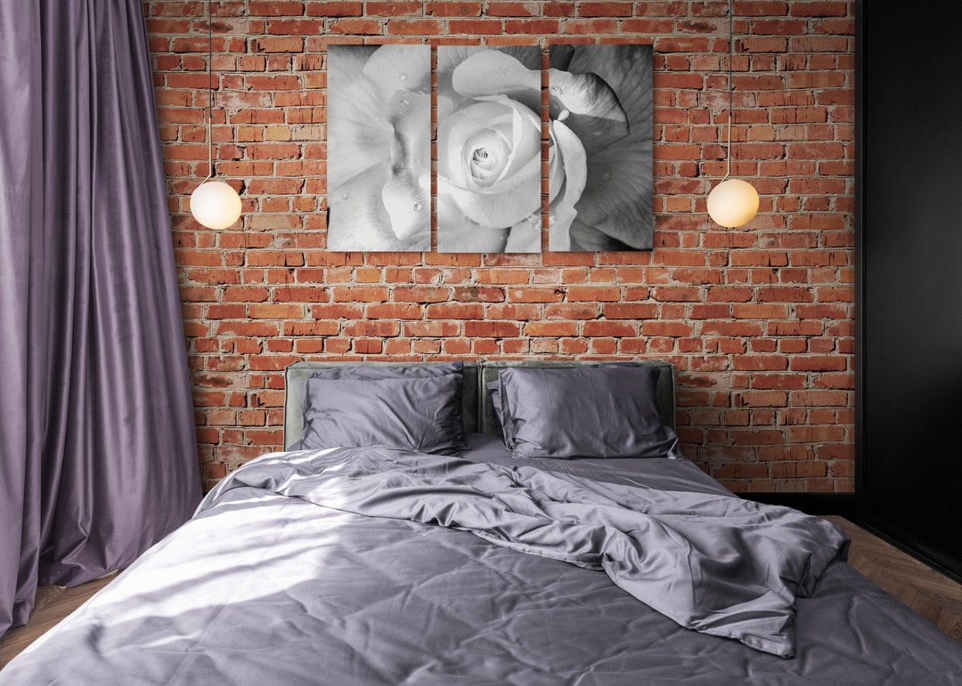 White Rose Wall Art Decor, Rose Flower Petals Canvas Picture Print