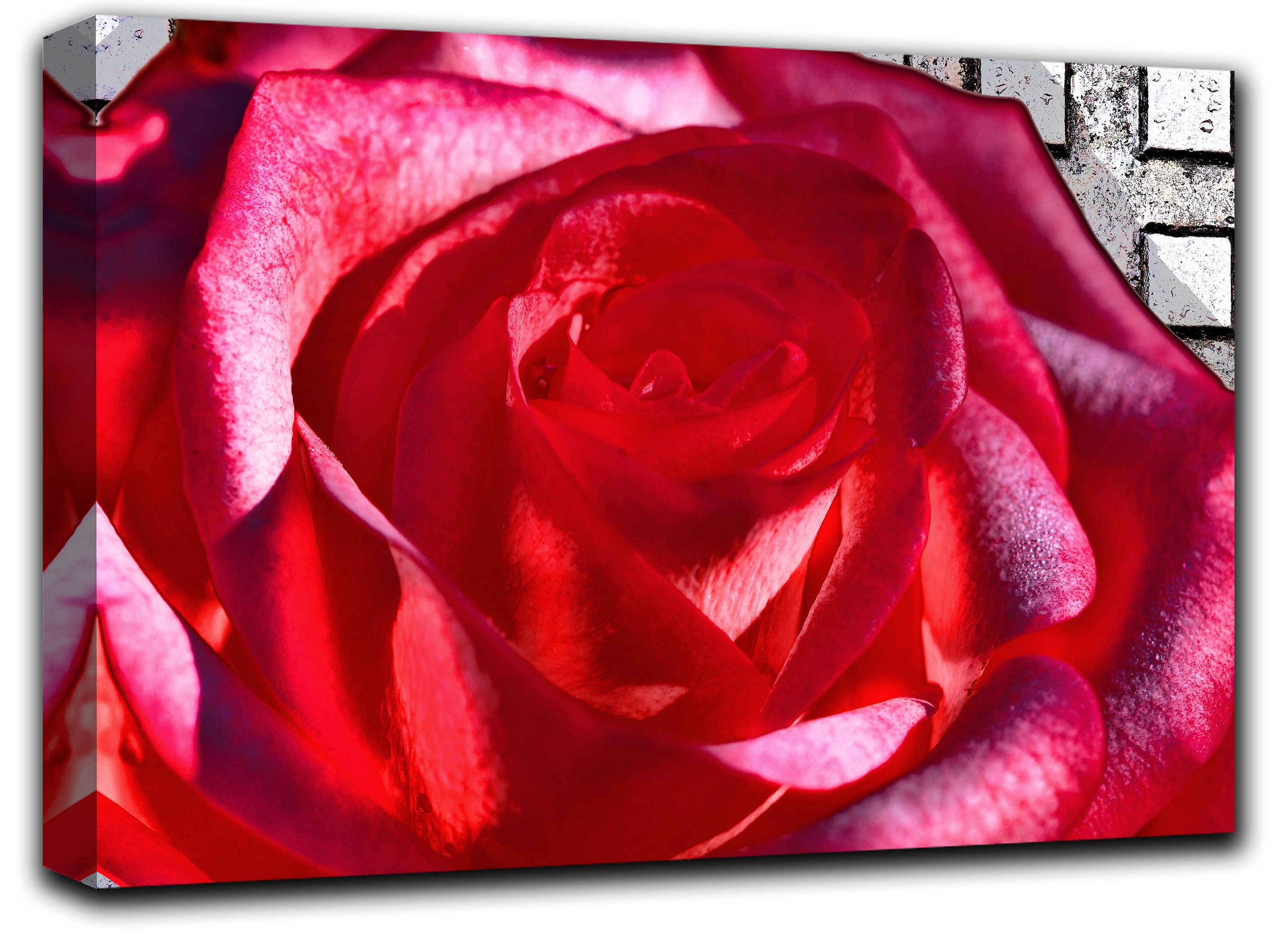1 Piece Red rose gift Wall Art Decor Flowers Canvas Picture Etsy