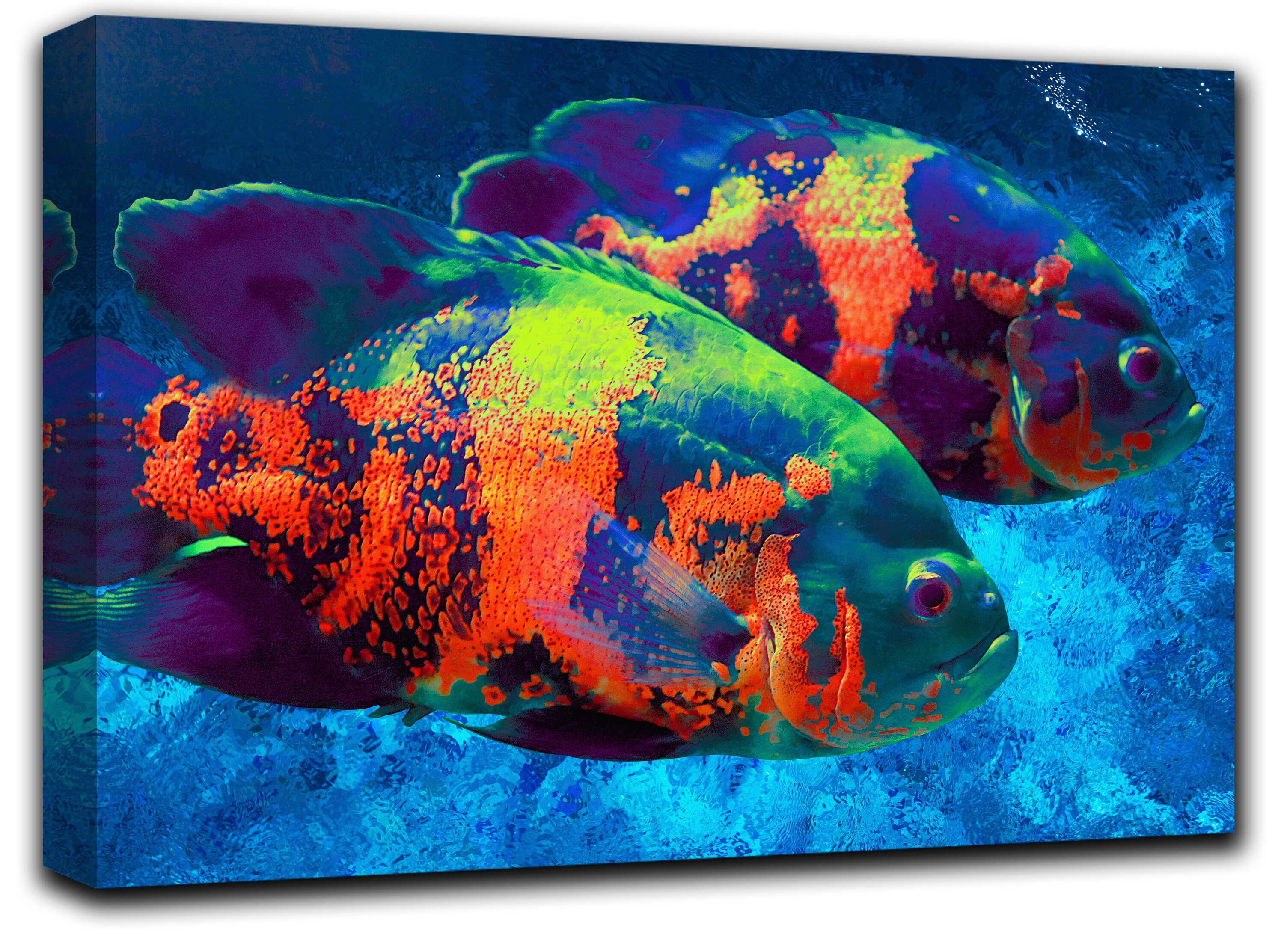 Marine life Wall Art Decor fish underwater Canvas Picture Etsy