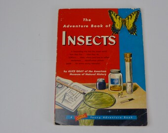 Vintage Biology Book / Antique Insect Book / Bug Kids Book / Science