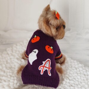 May include: A purple dog sweater with Halloween appliqués. The sweater features orange pumpkins, a white ghost, and a red and white letter "A" with a spiderweb design. The sweater has green, orange, and red striped cuffs.