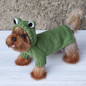May include: A small brown dog wearing a green knitted frog costume. The costume has a hood with frog eyes and a green knitted body.