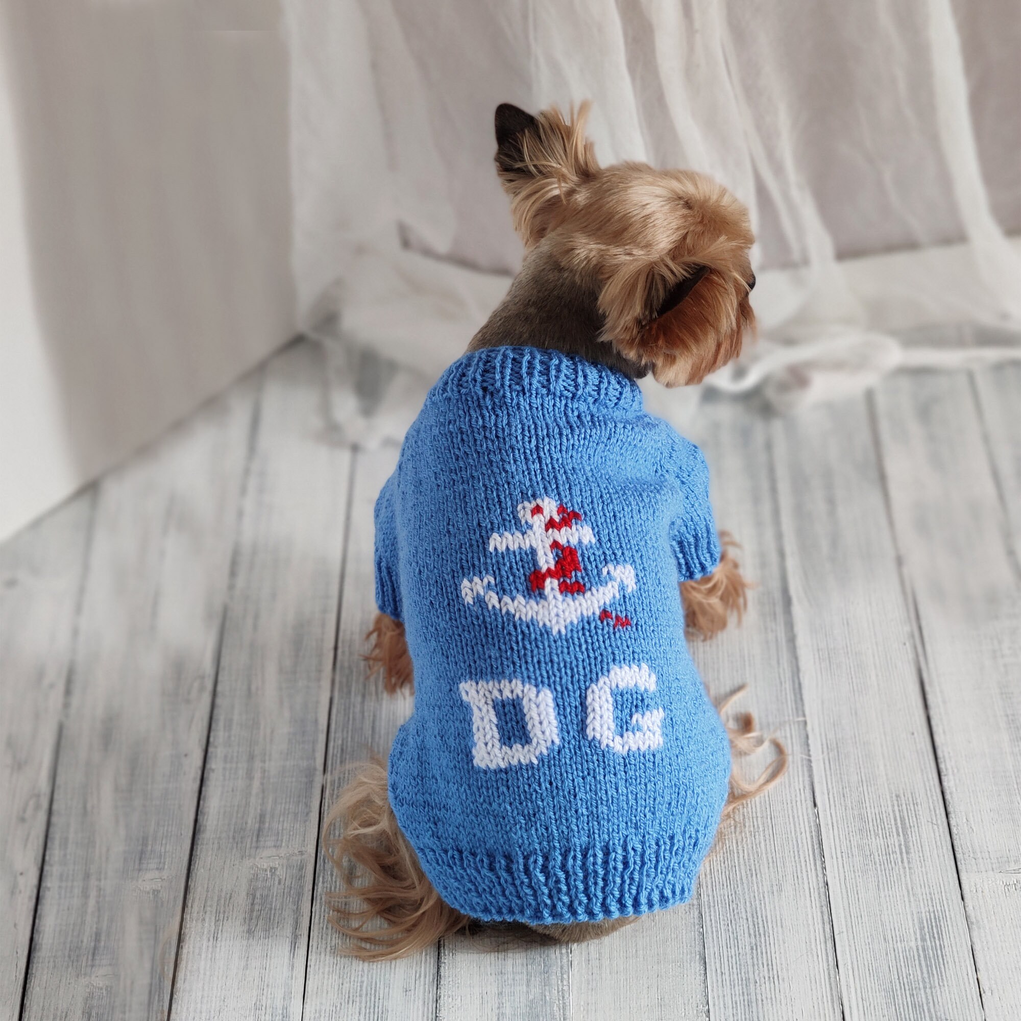 blue dog jumper