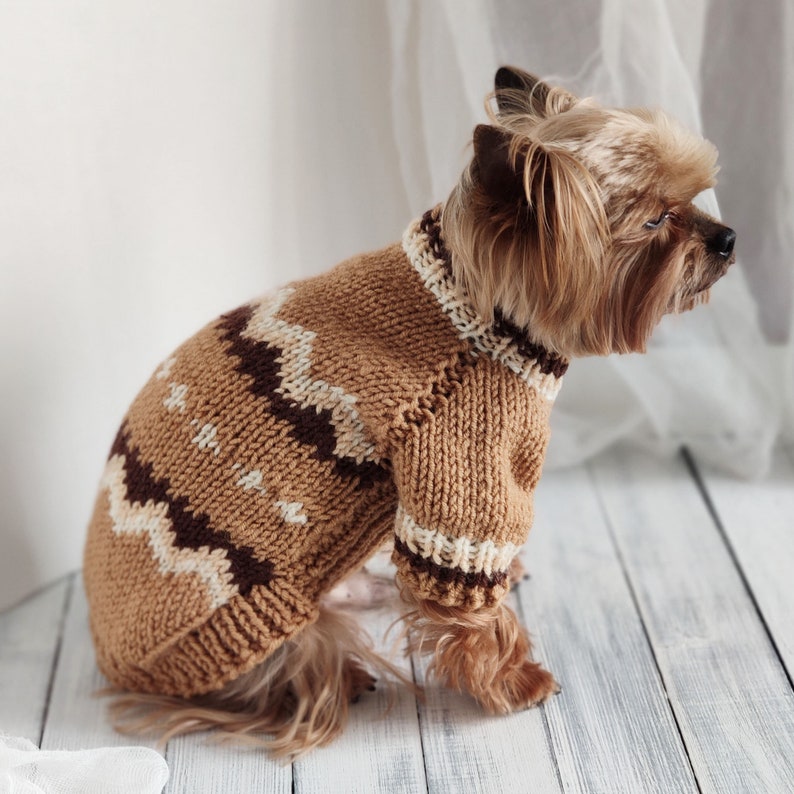 May include: A small brown and white knitted dog sweater with a geometric pattern. The sweater is on a Yorkshire Terrier.