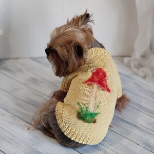 May include: A small brown and tan dog wearing a yellow knitted sweater with a red and green mushroom design.
