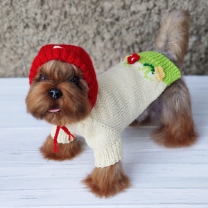 Peut inclure: Un petit chien brun portant un bonnet rouge tricot&eacute; et un pull blanc tricot&eacute; avec des broderies florales vertes et rouges.