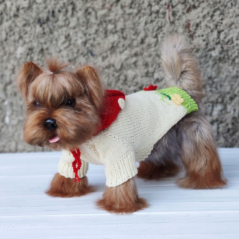Peut inclure: Un petit Yorkshire Terrier brun et noir portant un pull en tricot cr&egrave;me avec des accents rouges et verts. Le pull a une capuche en forme de champignon.